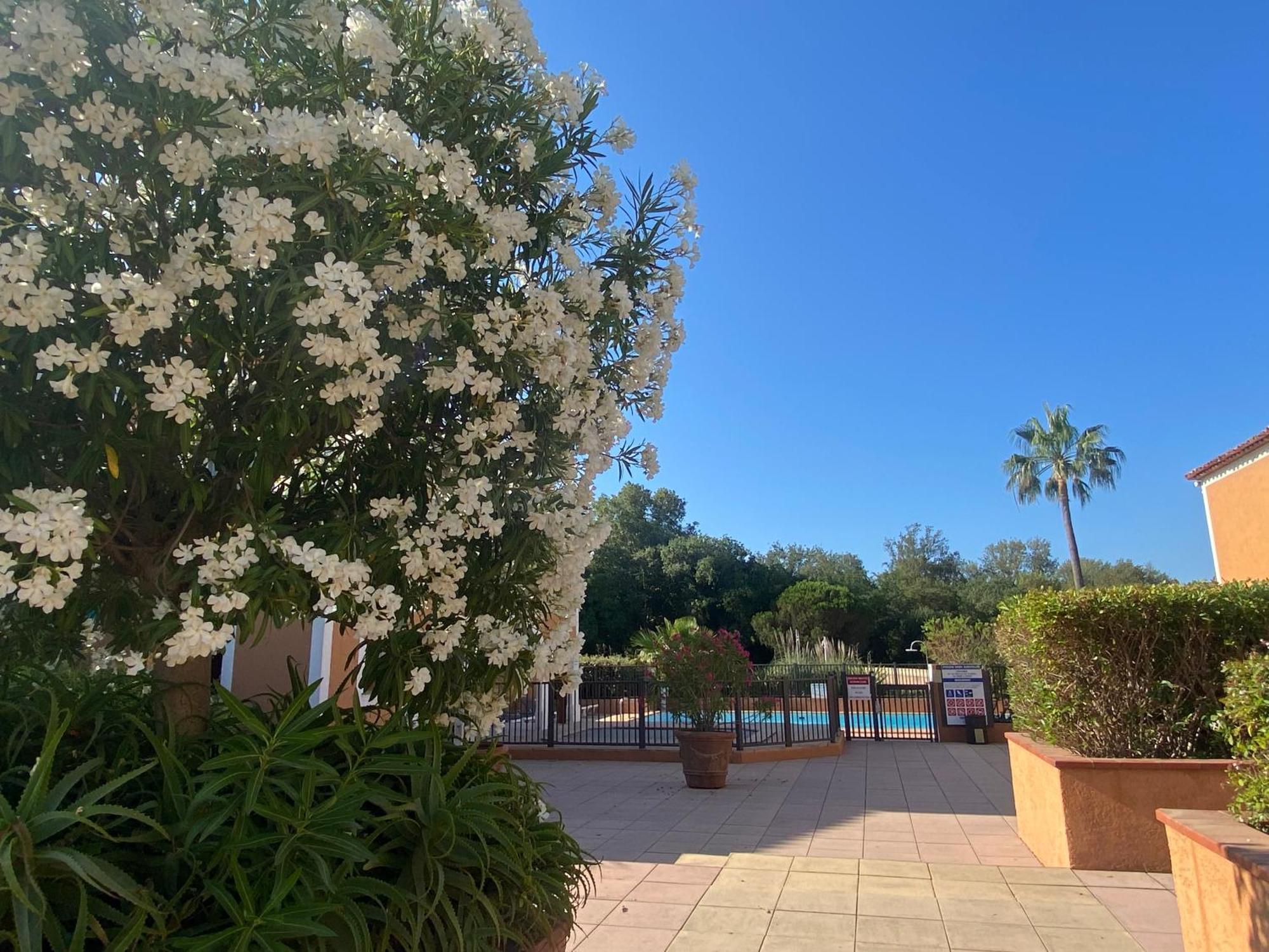 2 Bedrooms, 15 Min Walk To Beach, Ac, Pool & Fiber Internet In A Quiet, Private Gated Domain 5Kms To St Tropez كوغولين المظهر الخارجي الصورة