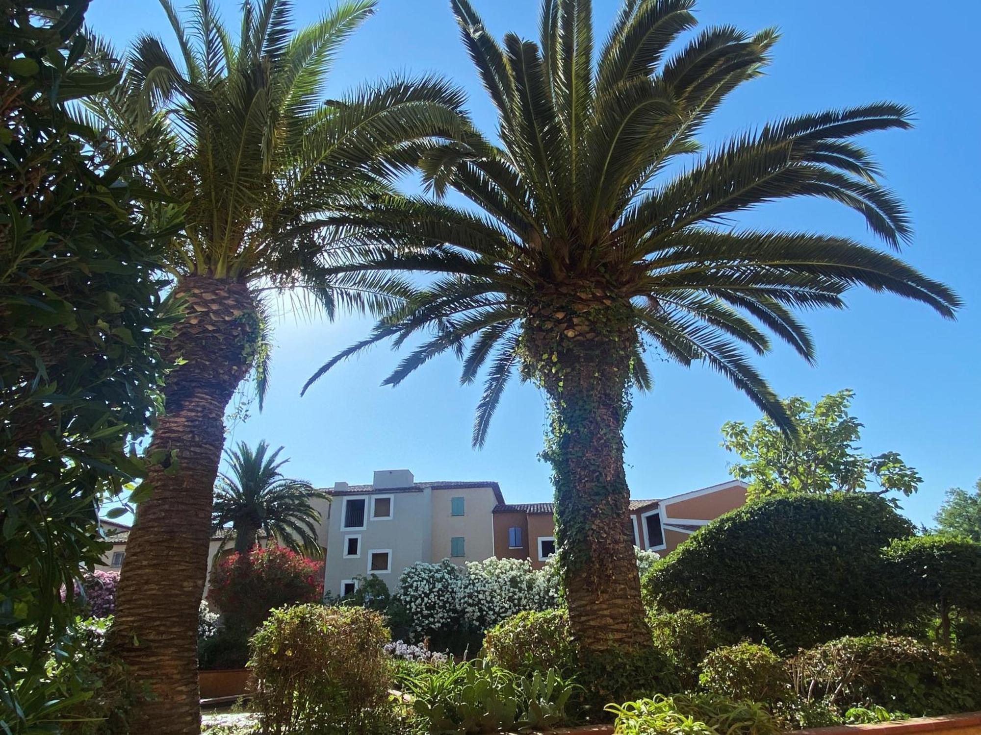 2 Bedrooms, 15 Min Walk To Beach, Ac, Pool & Fiber Internet In A Quiet, Private Gated Domain 5Kms To St Tropez كوغولين المظهر الخارجي الصورة
